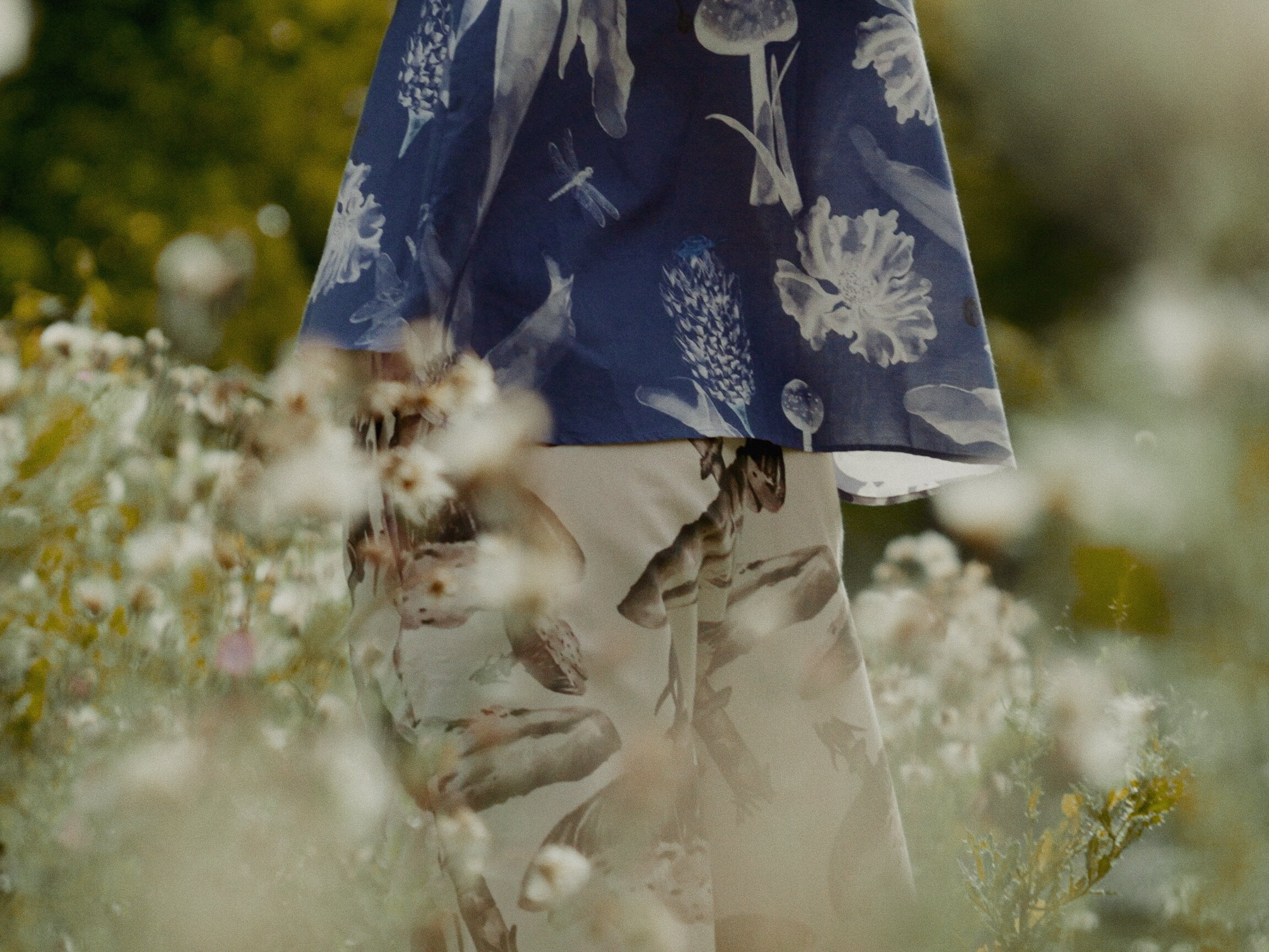 Floral-print dress detail among cotton grass flowers
