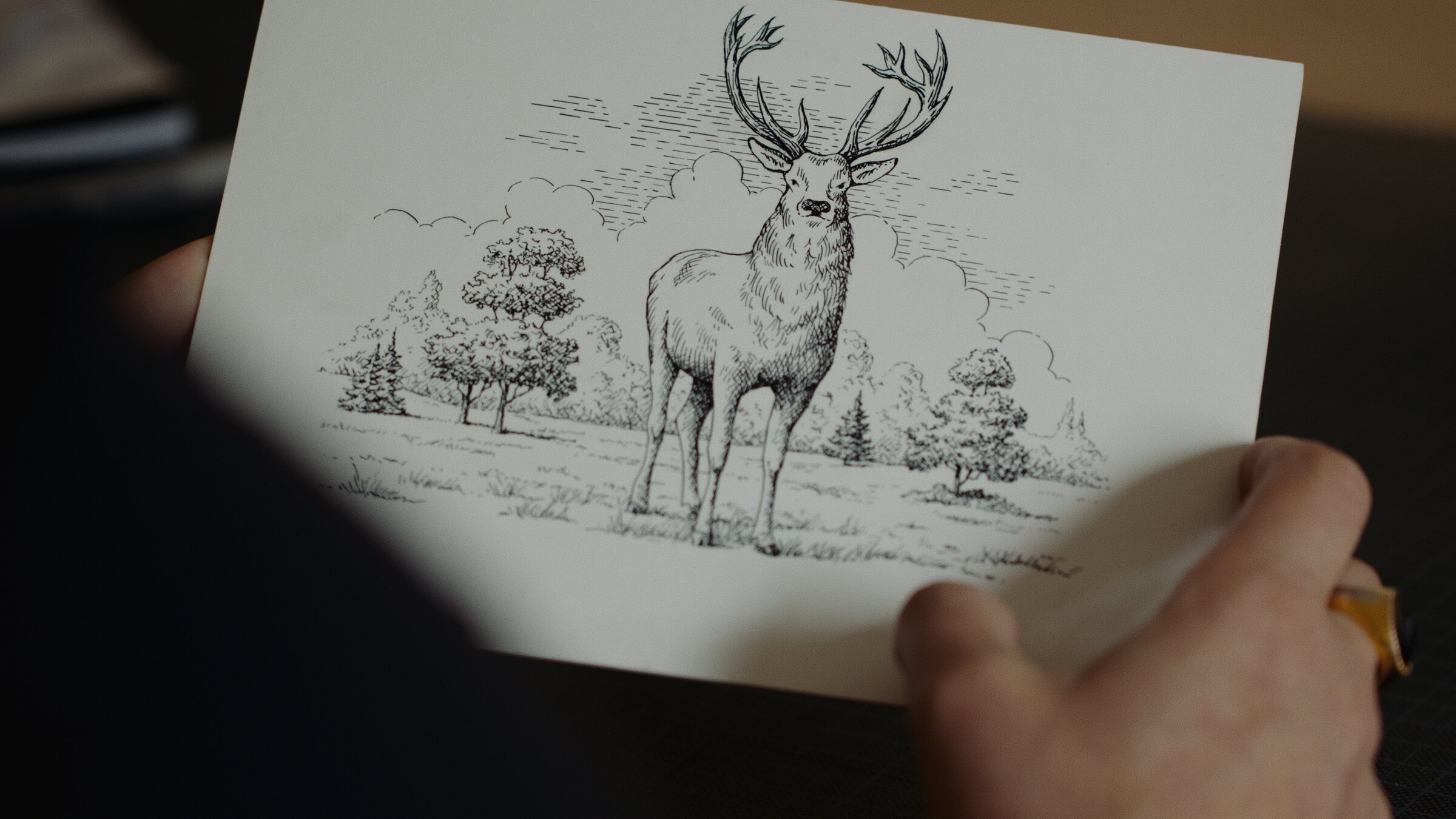 Hand-drawn stag illustration, label artwork