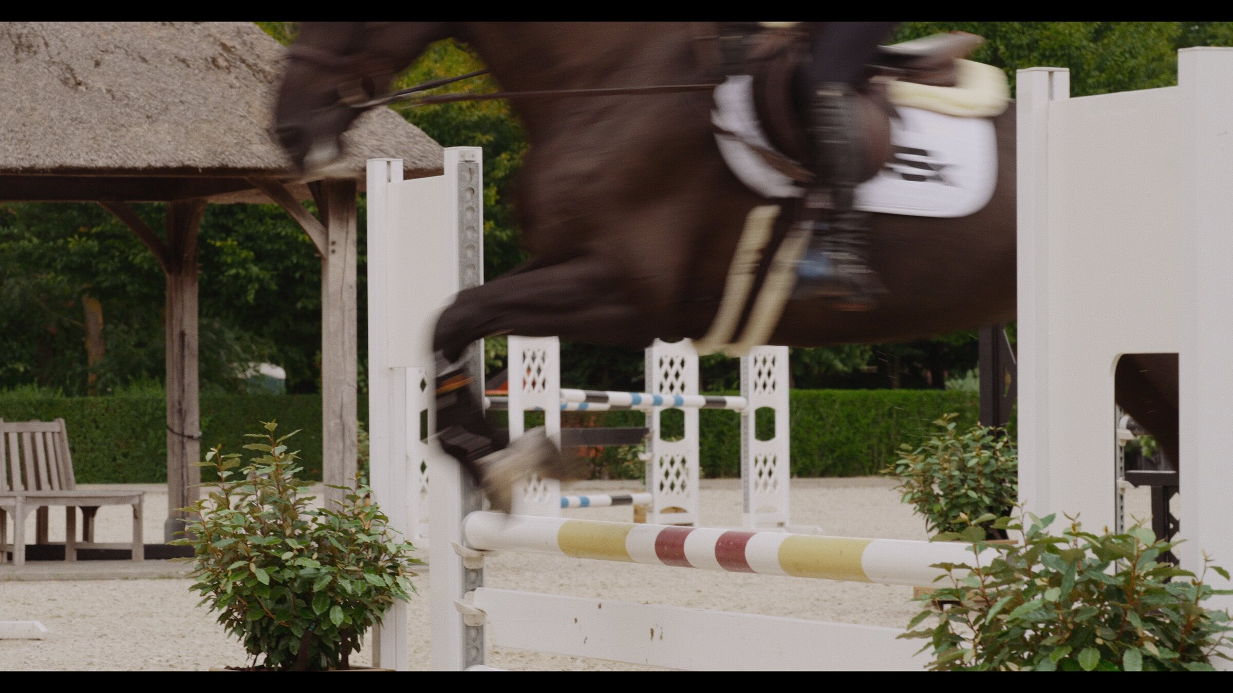 Horse and rider mid-jump, motion blur over the rail