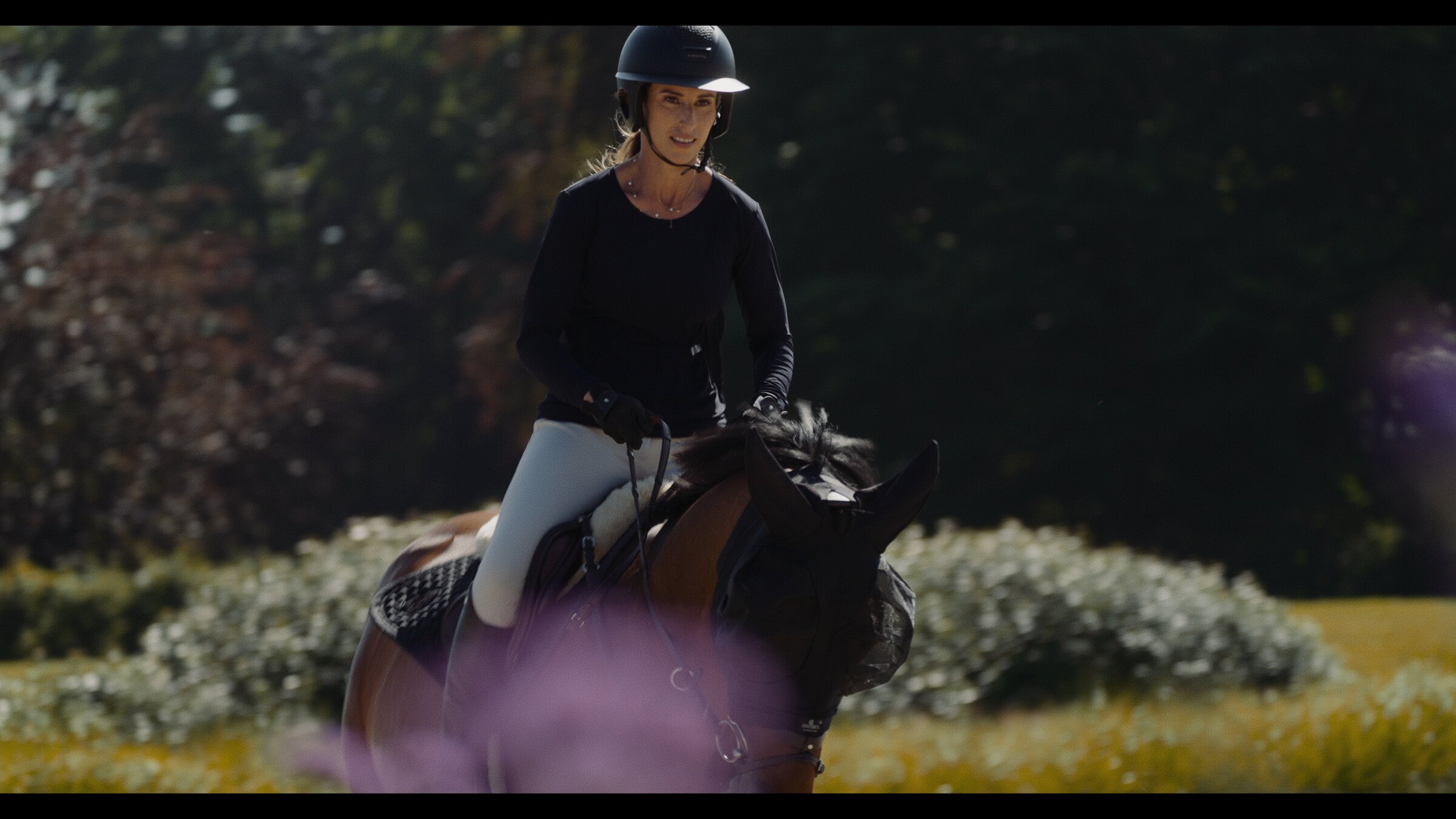 Rider on a bay horse crossing a wildflower field